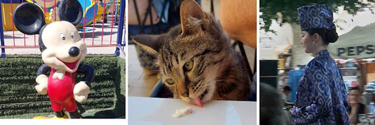 A cat licking a piece of food

Description automatically generated