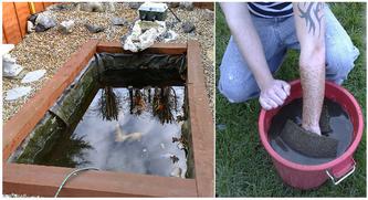 22 December 2007 (Saturday) - Fish Poo