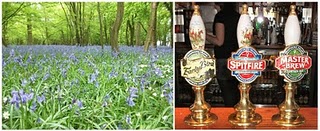 http://2.bp.blogspot.com/_xn1zlCsW-C0/S-cD0Y0L4bI/AAAAAAAAByQ/7N_2HPHamOI/s320/bluebells.jpg