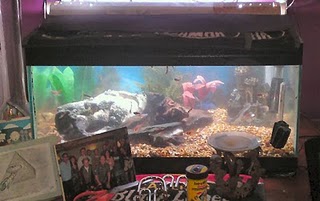http://1.bp.blogspot.com/_xn1zlCsW-C0/TMIUL8EOf_I/AAAAAAAACmM/0aZ7Y_jwSTE/s320/fishtank.jpg